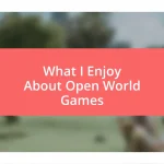 What I Enjoy About Open World Games